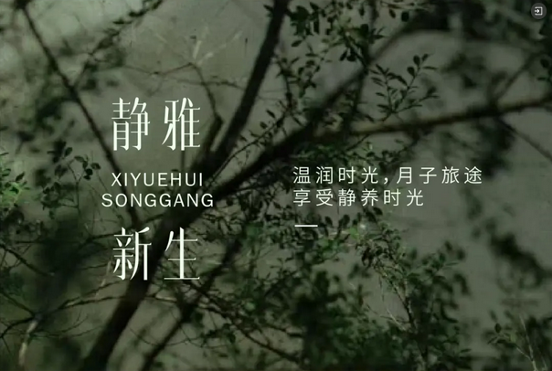 1726628050591275.png 禧月薈深圳松崗_第8家月子中心火熱預(yù)售5.png