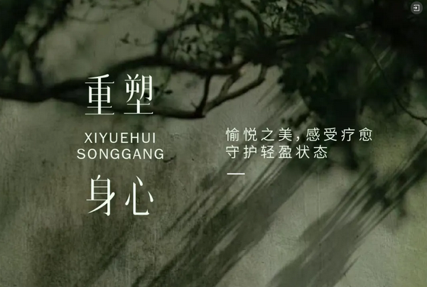 1726628108656601.png 禧月薈深圳松崗_第8家月子中心火熱預(yù)售9.png