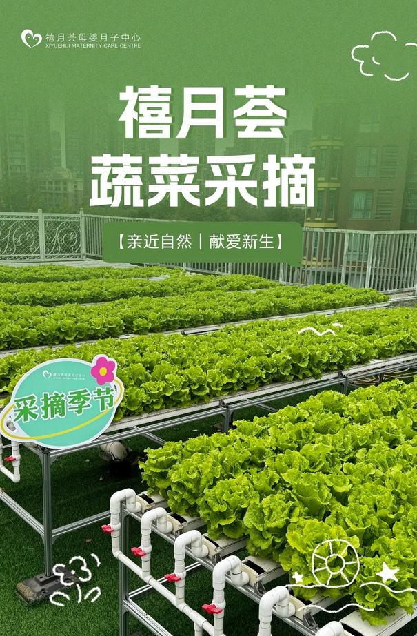成都月子中心農(nóng)場(chǎng)主|共享菜地，開啟有機(jī)坐月子生活1