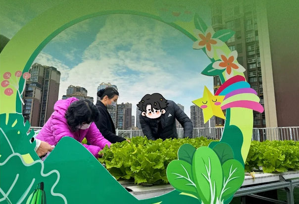 成都月子中心農(nóng)場(chǎng)主|共享菜地，開啟有機(jī)坐月子生活2