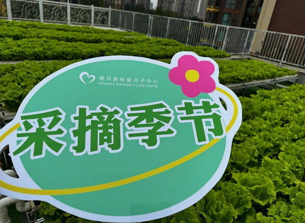 成都月子中心農(nóng)場(chǎng)主|共享菜地，開(kāi)啟有機(jī)坐月子生活