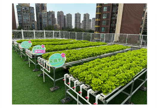 2024精彩回顧|深圳月子中心都有哪些活動(dòng)？40