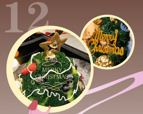 2024精彩回顧|深圳月子中心都有哪些活動(dòng)？43